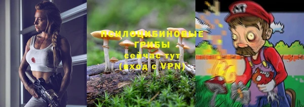 mdpv Белокуриха